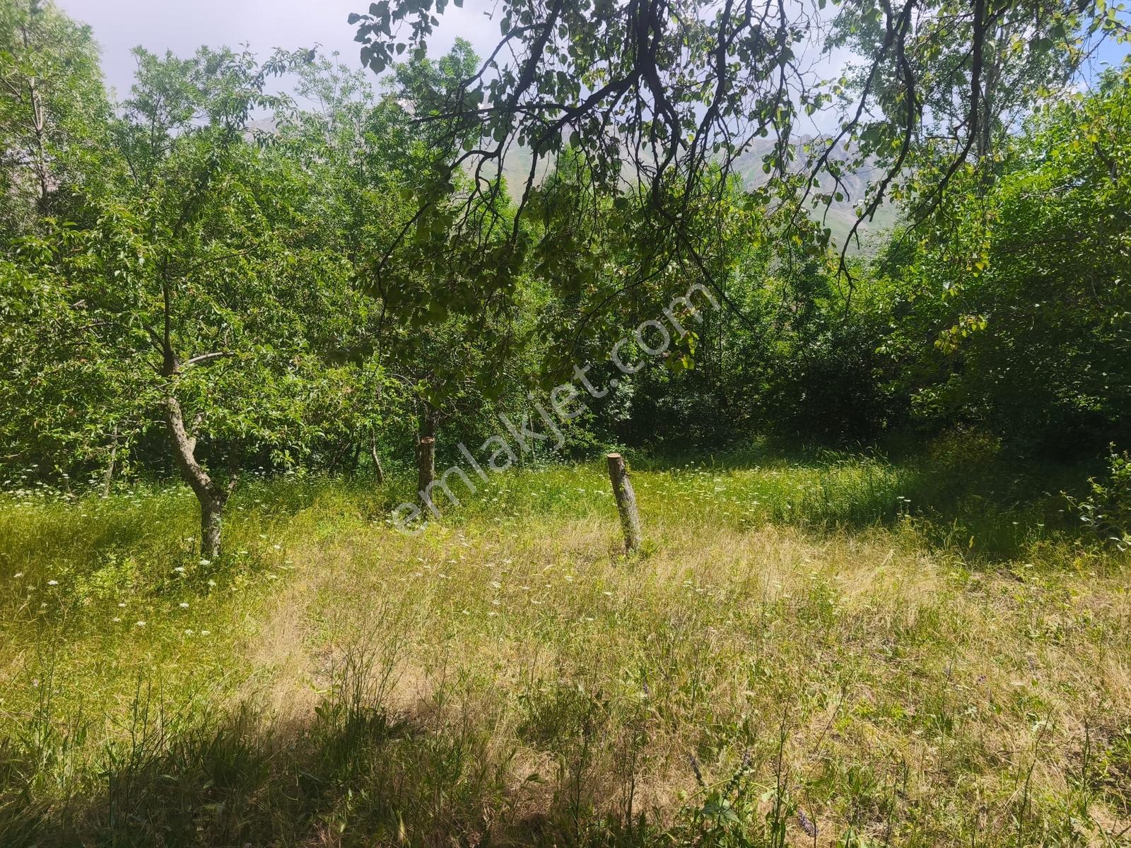 Gevaş Elmalı Mahallesinde Satılık 1109 M2 Arsa - Görsel 20