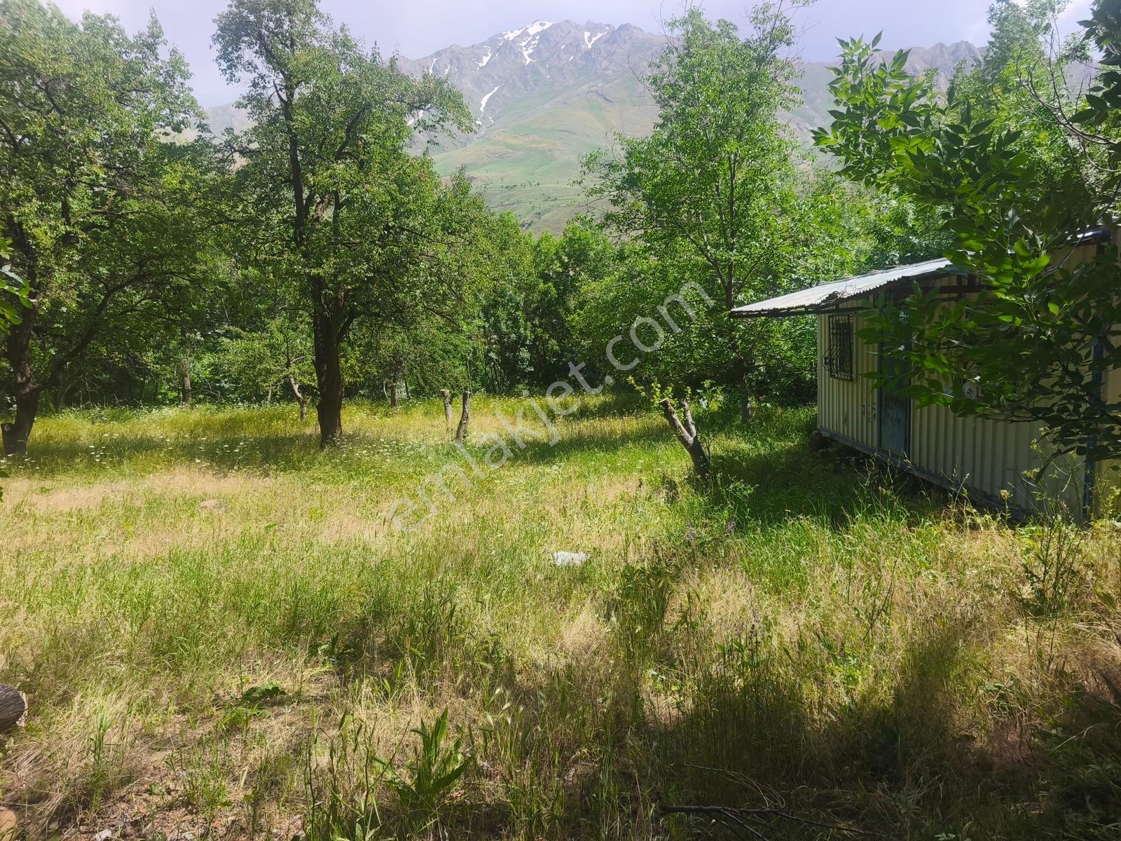 Gevaş Elmalı Mahallesinde Satılık 1109 M2 Arsa - Görsel 3