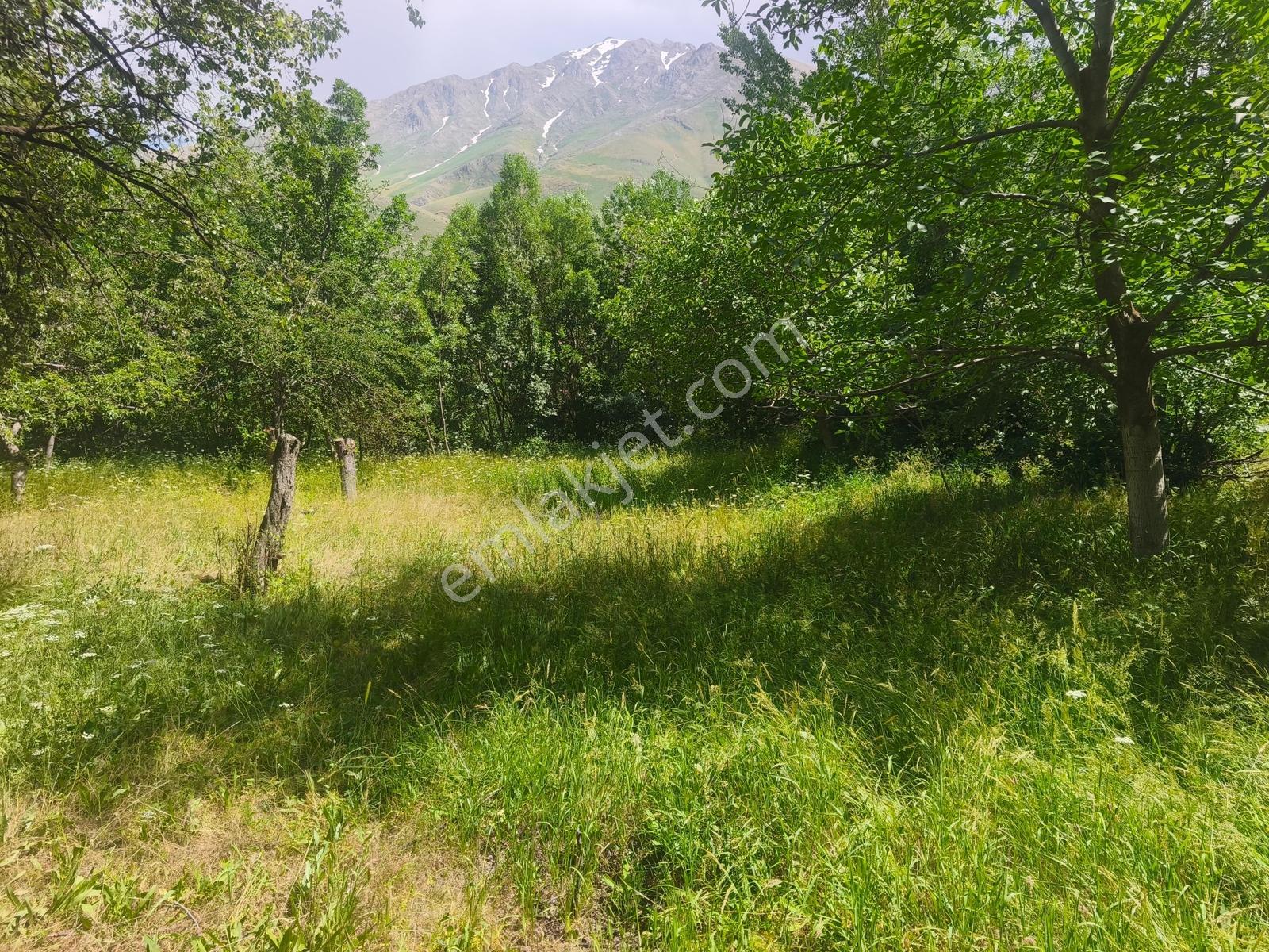 Gevaş Elmalı Mahallesinde Satılık 1109 M2 Arsa - Görsel 15