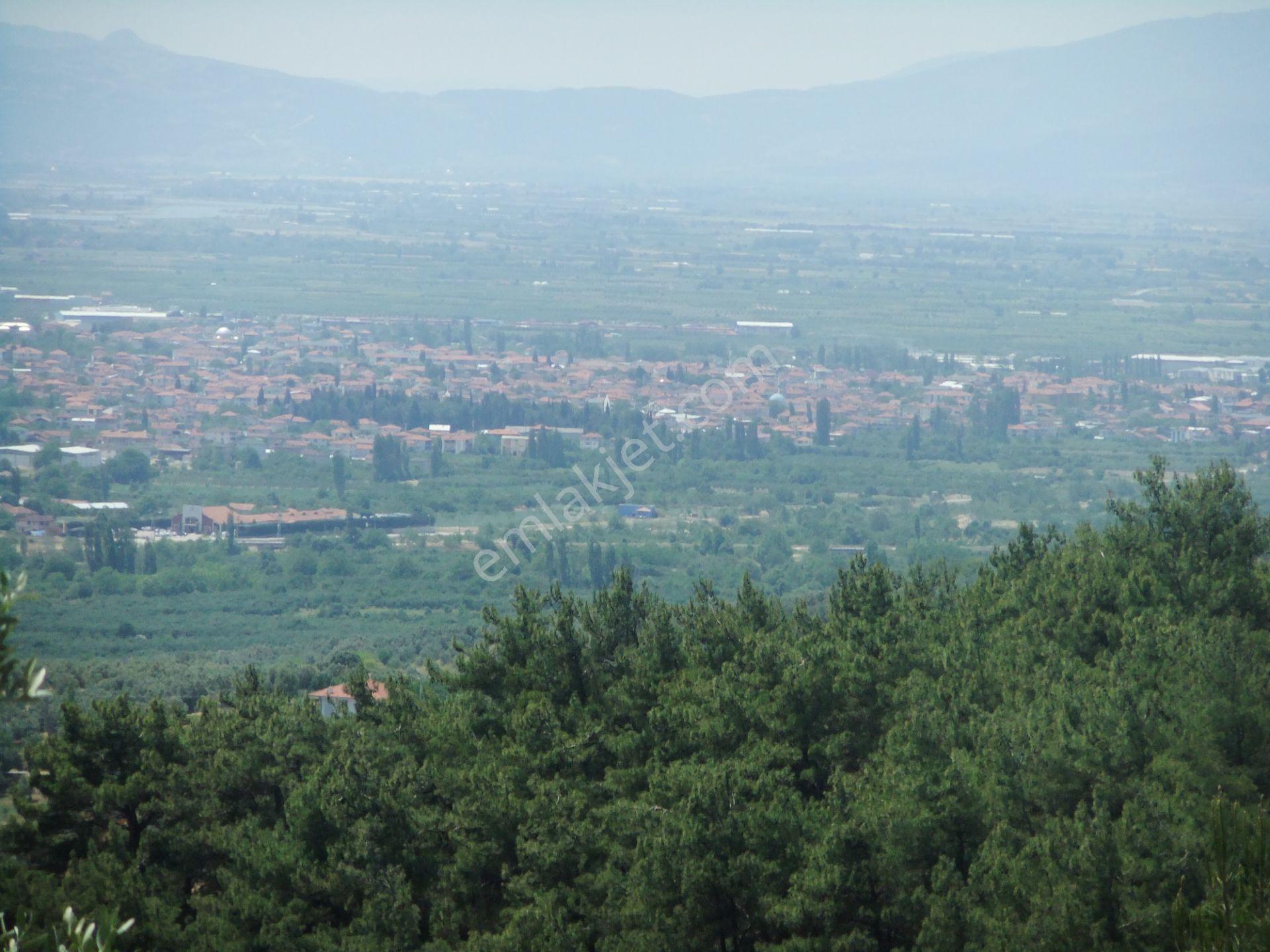 Tezcan Gayrimenkul'den Sakarya/geyve/doğantepe Köyünde Zeytinlik. - Görsel 7