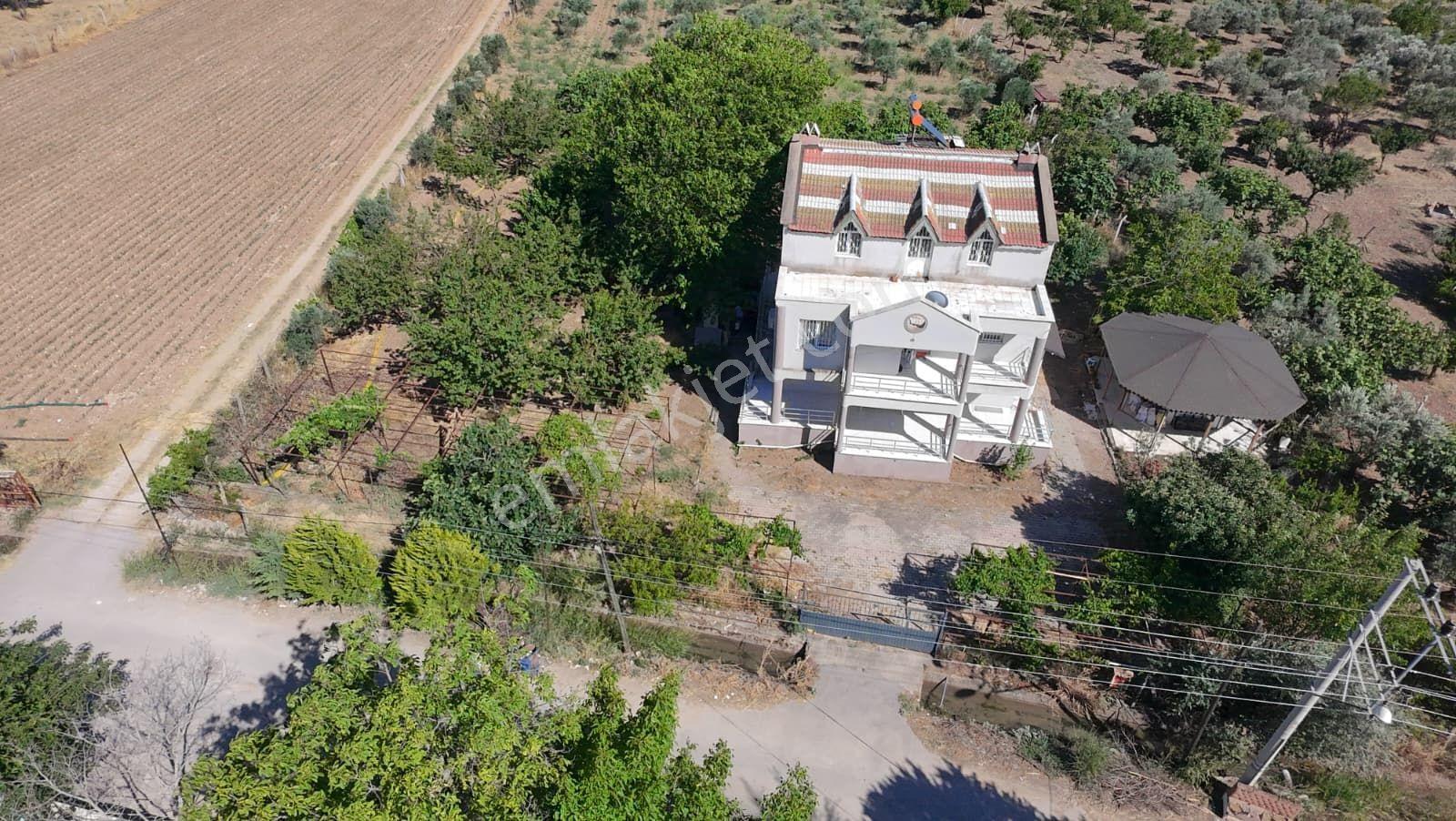İzmir Menderes Oğlananası'nda 10.180 M² Arsa İçerisinde Ruhsatlı 5+1 Müstakil Ev Ve Verimli Bahçe - Görsel 3
