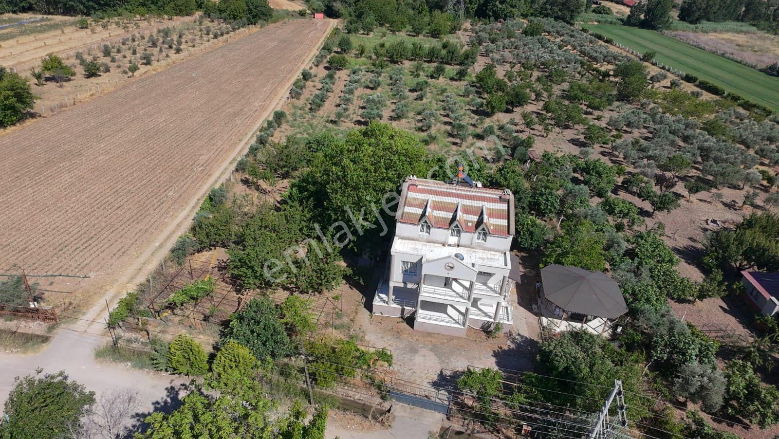 İzmir Menderes Oğlananası'nda 10.180 M² Arsa İçerisinde Ruhsatlı 5+1 Müstakil Ev Ve Verimli Bahçe - Görsel 8