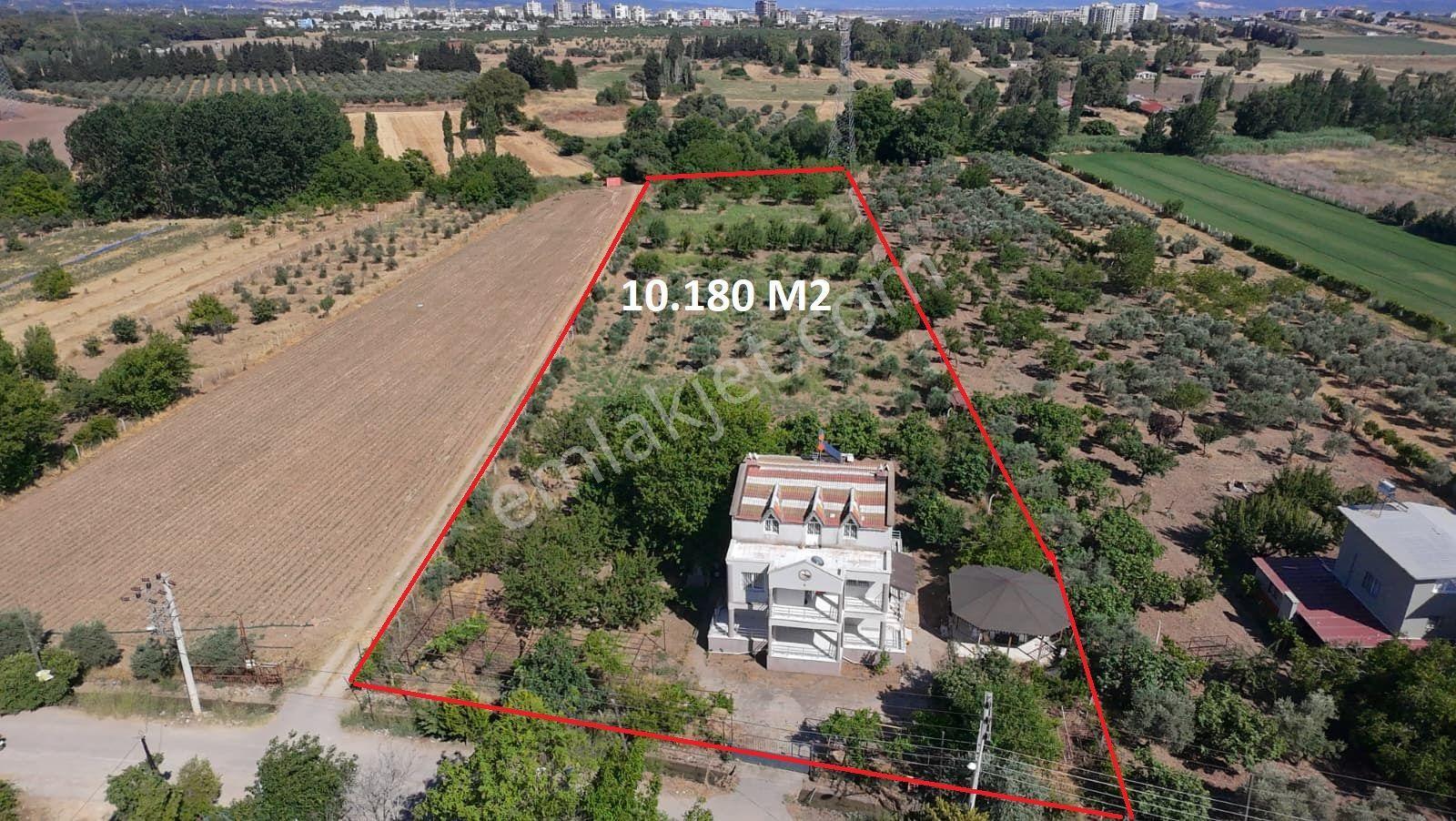 İzmir Menderes Oğlananası'nda 10.180 M² Arsa İçerisinde Ruhsatlı 5+1 Müstakil Ev Ve Verimli Bahçe