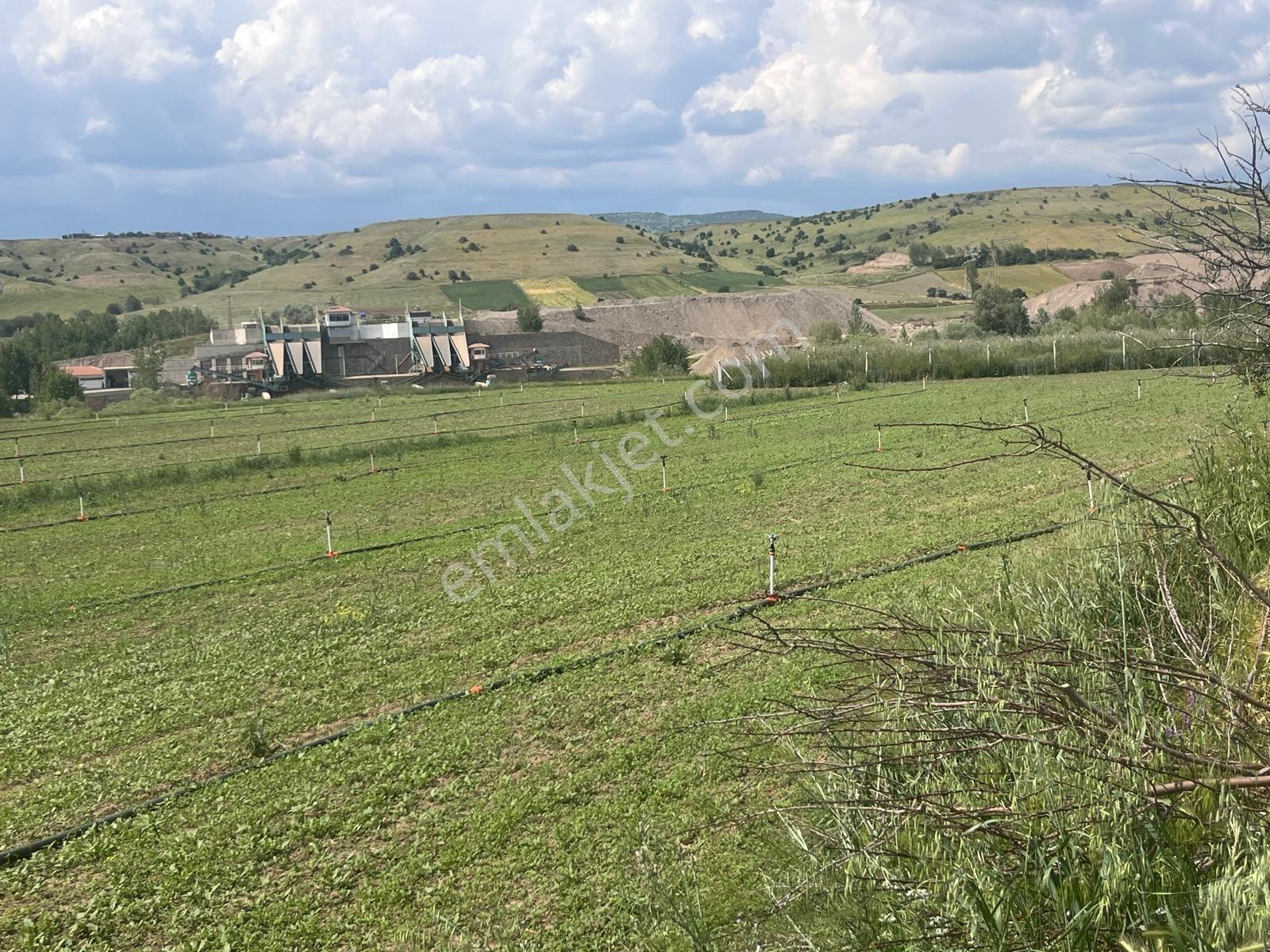 531 Mt Arazi.yerleşime Yakın . Resmi Yolu Var.tek Tapu - Görsel 9