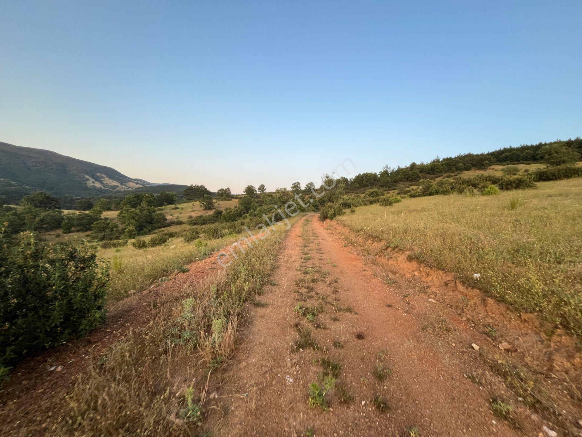 Balıkesir Sındırgıda Resmi Yola Cephe 1.820 M2 Müstakil Tapulu