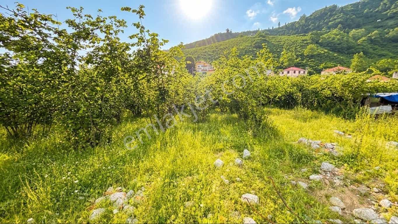 Trabzon Akolukta Fırsat - Görsel 8