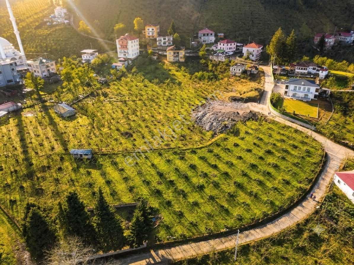 Trabzon Akolukta Fırsat