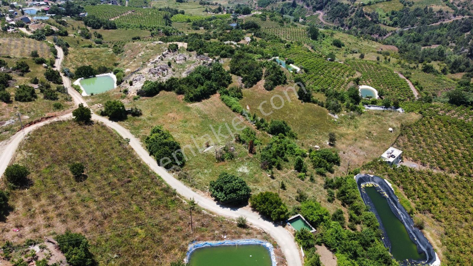 Wisrem'den Kepirlide 6.883 M2 Satılık Arsa Fırsat - Görsel 3
