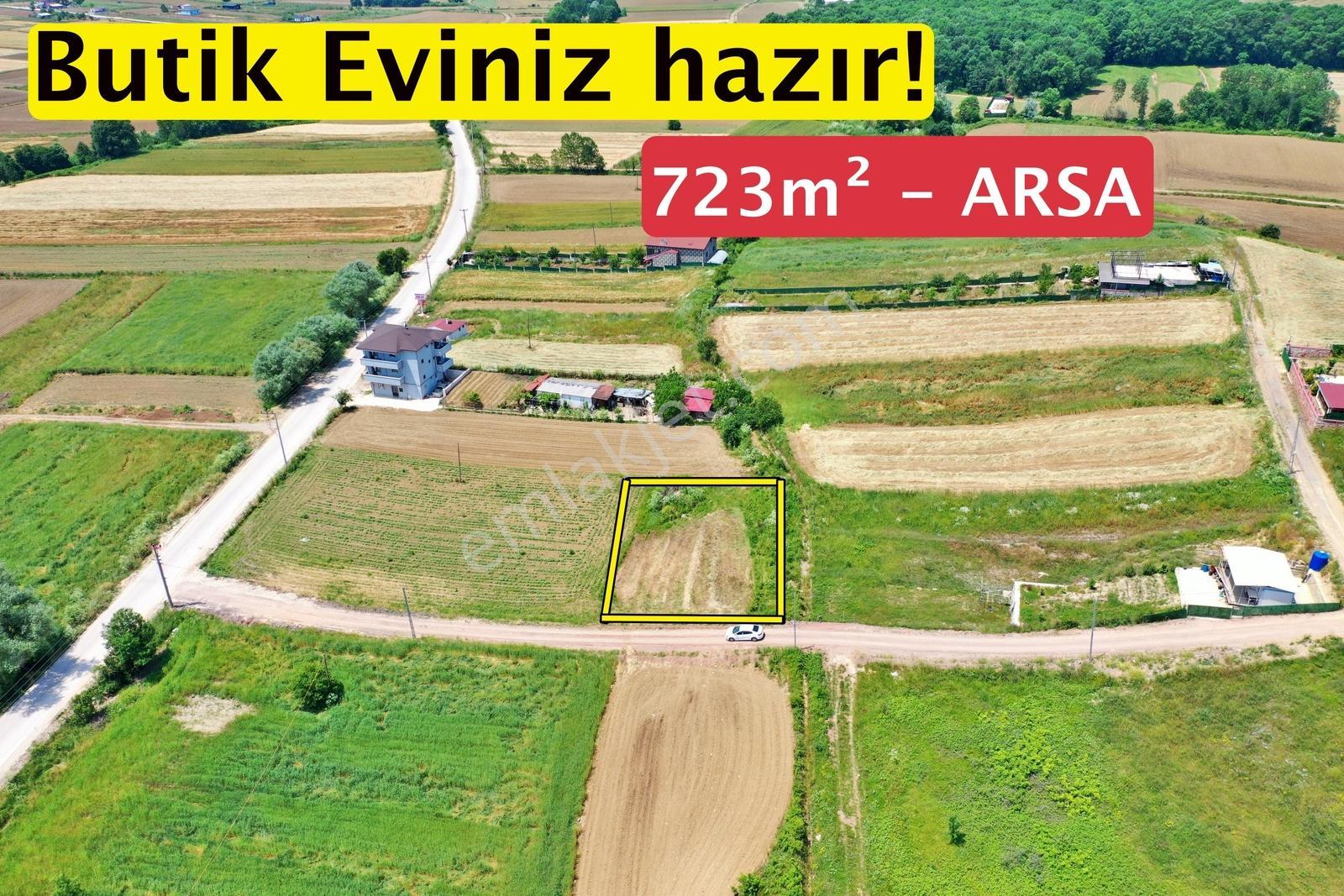 Derince Çavuşluda Doğa İçinde İmarlı 723 M² Fırsat Arsa - Görsel 4
