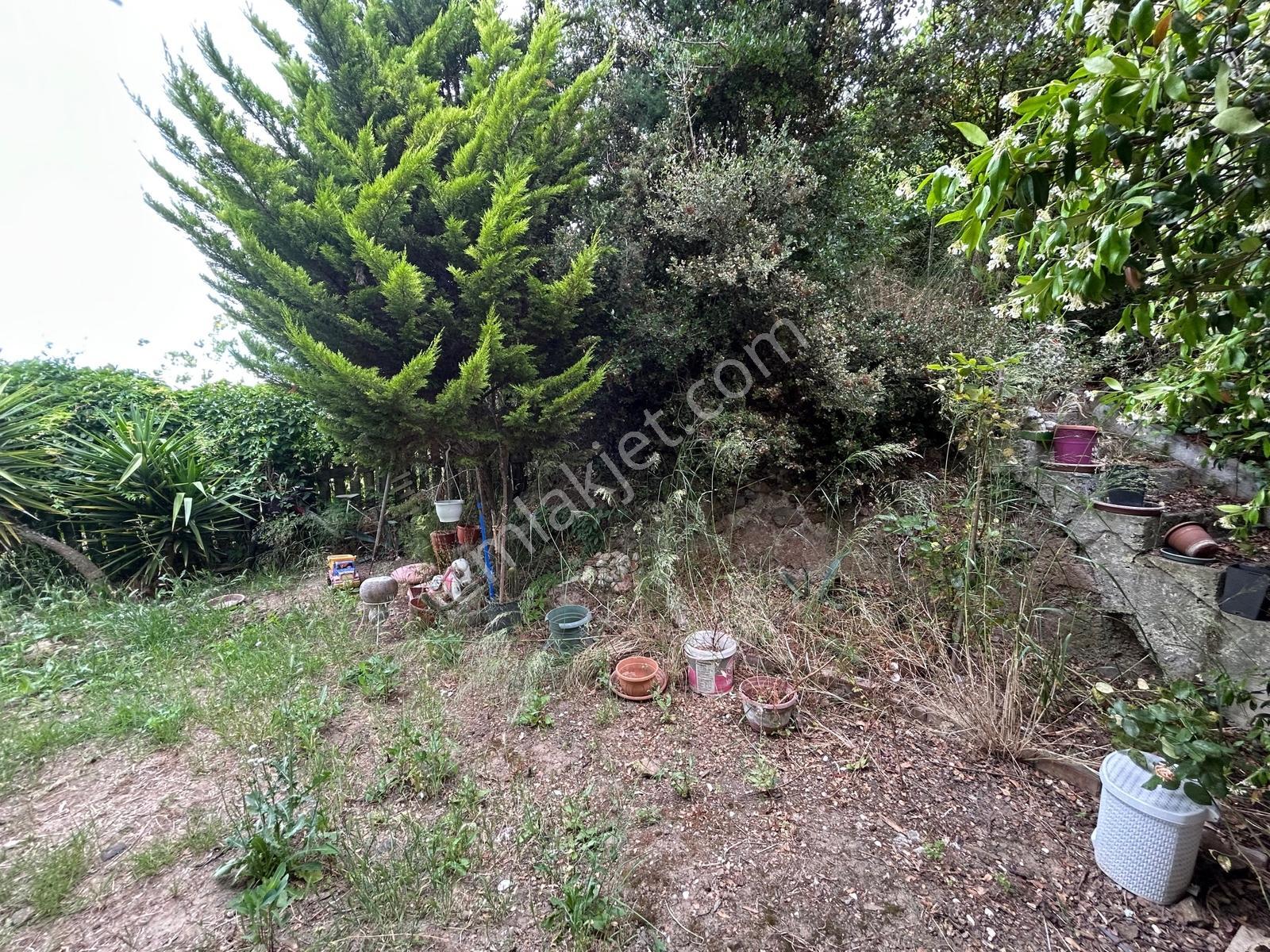 Altıntaş Kızılay Kampında Ormana Komşu Müstakil Yaşam Fırsatı - Görsel 14