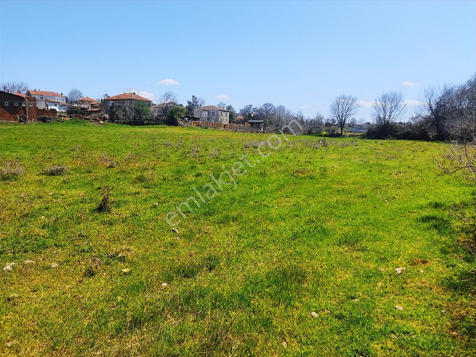 Çanakkale,bayramiç,yahşieli Köyünde Satılık Arsa - Görsel 8