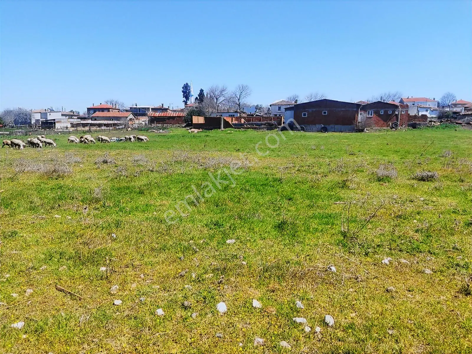 Çanakkale,bayramiç,yahşieli Köyünde Satılık Arsa - Görsel 5