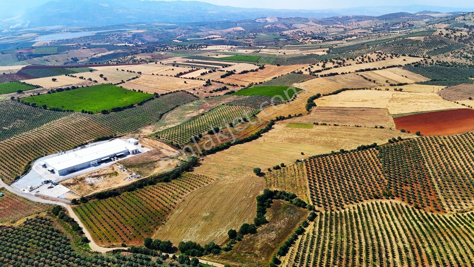 Salihli'de Satılık 49765 M2 Yüksek Verimli Tarla (video) - Görsel 8