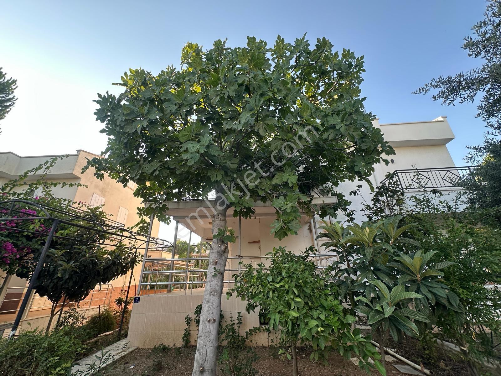 Didim Mavişehirde Denize Yakın Sitede 3+1 Bahçeli Ev - Görsel 22