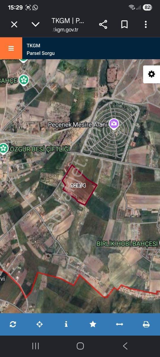 Mesire Alanı Karşısında Ana Yola Cephe Konum Satılık Tarla - Görsel 14