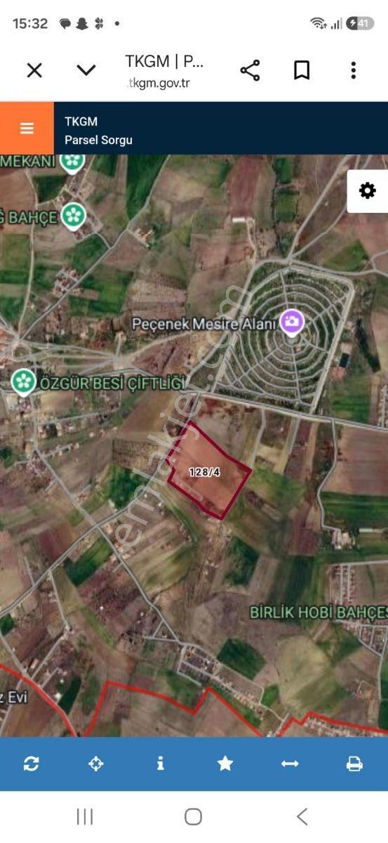Mesire Alanı Karşısında Ana Yola Cephe Konum Satılık Tarla - Görsel 11