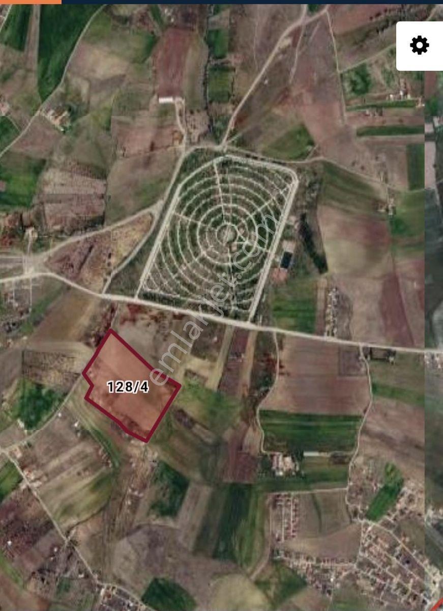 Mesire Alanı Karşısında Ana Yola Cephe Konum Satılık Tarla - Görsel 6