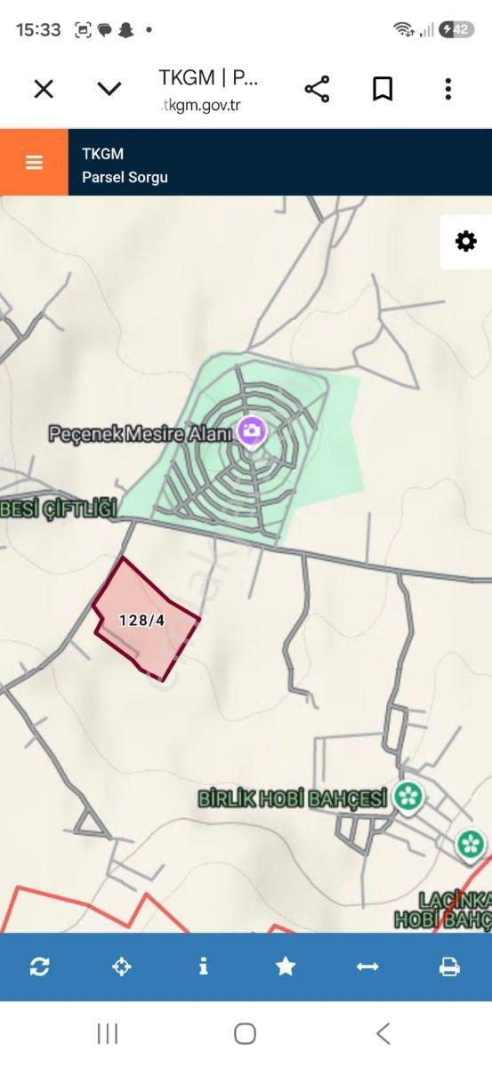 Mesire Alanı Karşısında Ana Yola Cephe Konum Satılık Tarla - Görsel 8