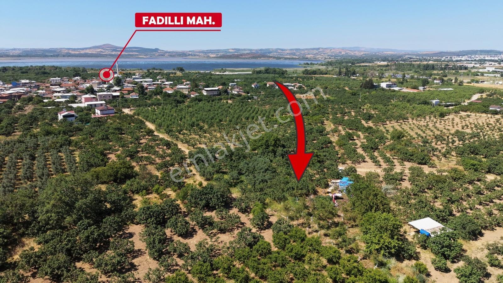 Nilüfer Fadıllı Satılık 550m² İncir Bahçesi - Görsel 11