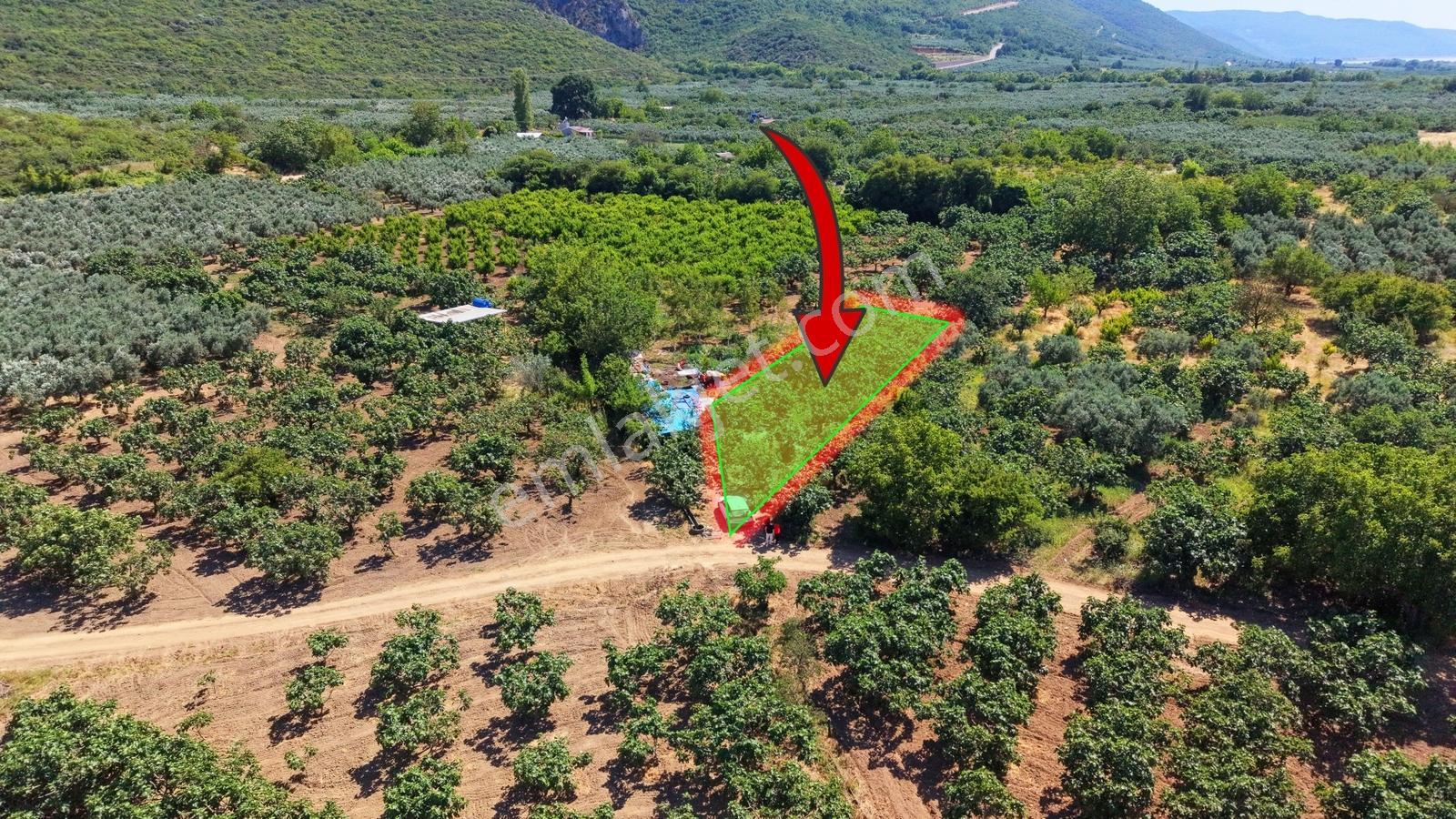 Nilüfer Fadıllı Satılık 550m² İncir Bahçesi - Görsel 6