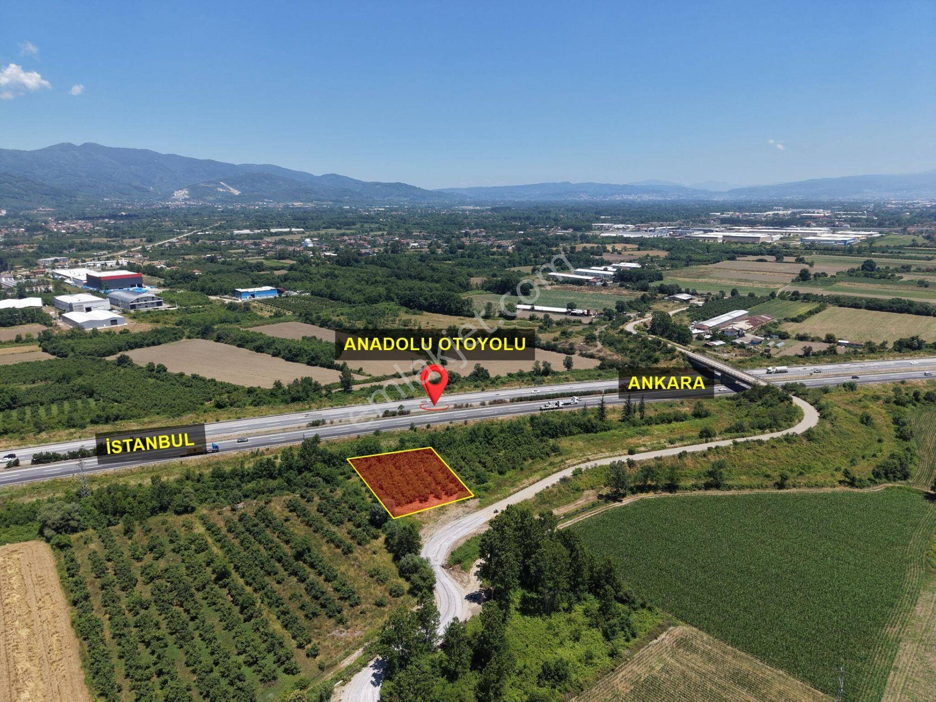 Yayakbaşı Köyü'nde 1628 M2 Satılık Arsa - Görsel 5