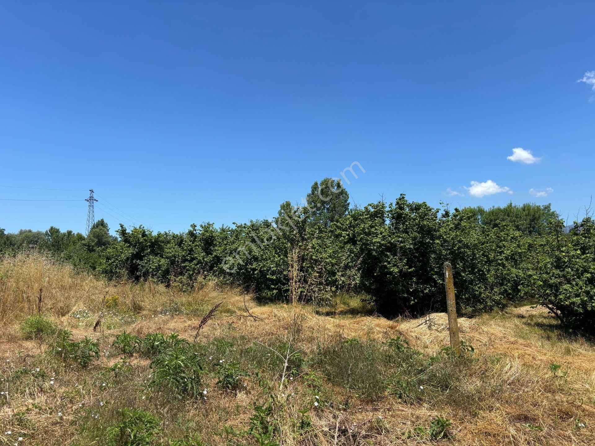 Yayakbaşı Köyü'nde 1628 M2 Satılık Arsa - Görsel 24