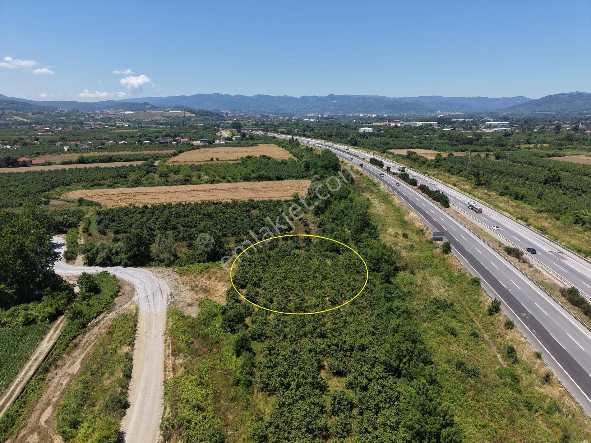 Yayakbaşı Köyü'nde 1628 M2 Satılık Arsa - Görsel 26