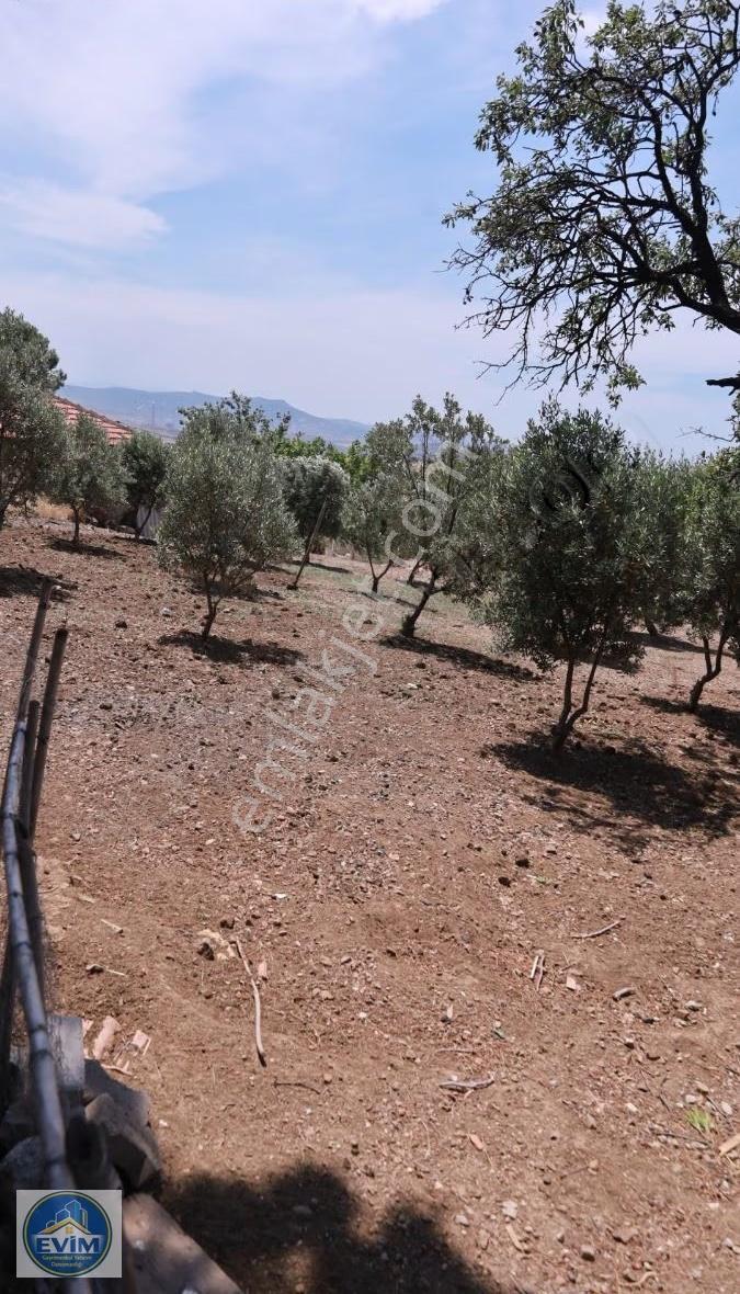 Samurlu'da Emsalsiz Manzarası Ve Geniş Bahçesiyle Taş Ev - Görsel 2