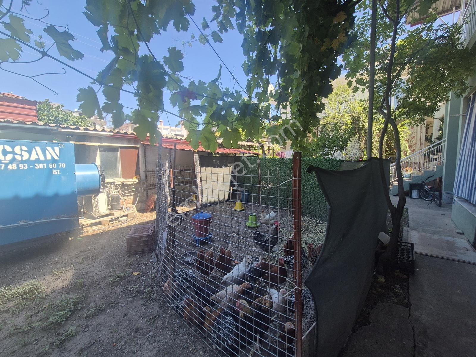 Rotam Emlaktan Dalaman'da 2+1 Kapalı Mutfak Kiralık Daire - Görsel 18