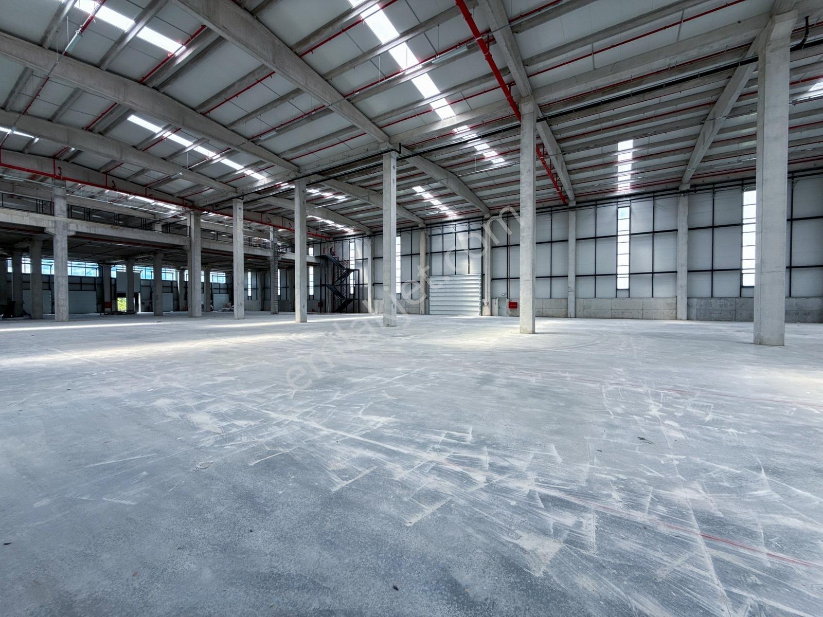 Kapaklı Karaağaç Prestijli 5.500m² Kiralık Lojistik Depo - Görsel 24