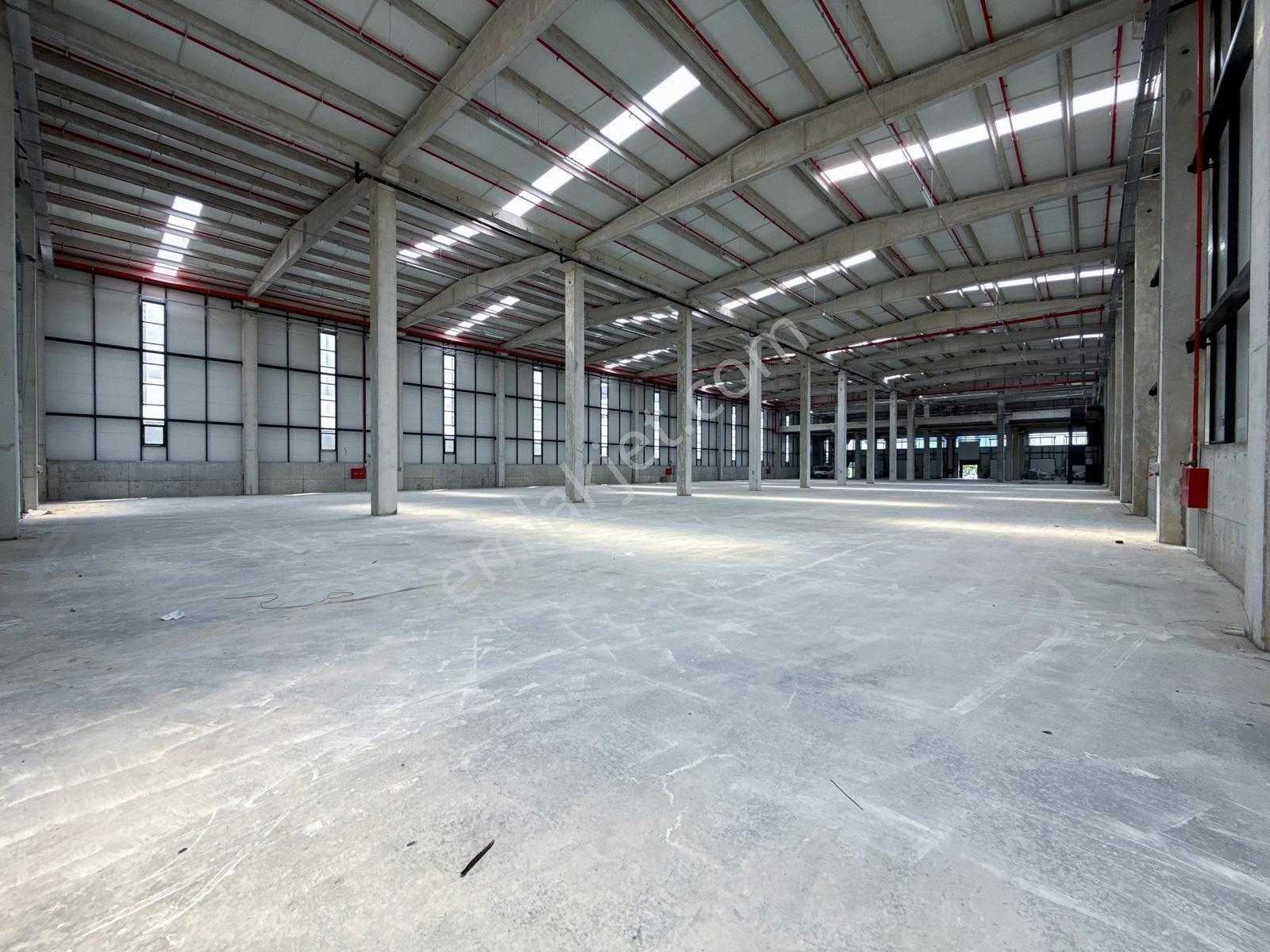 Kapaklı Karaağaç Prestijli 5.500m² Kiralık Lojistik Depo - Görsel 18
