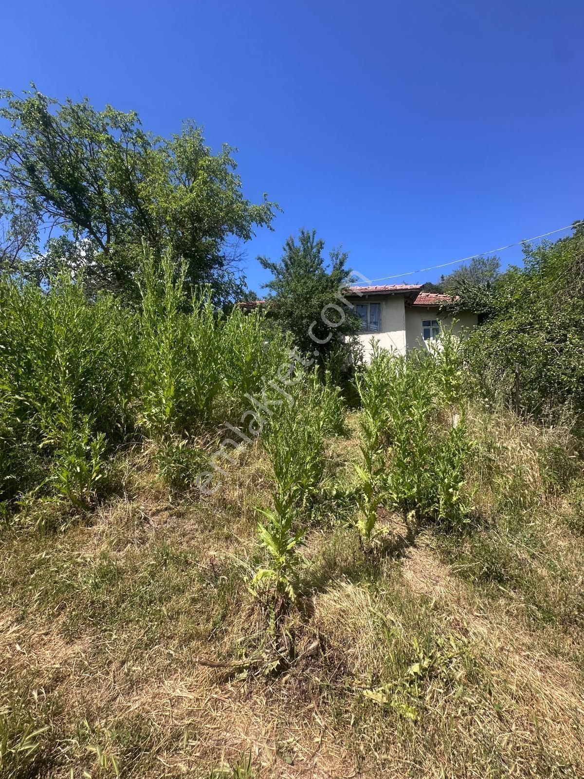 Kofçaz Terzidere Köyü 991 M2 Konut İmarlı Arsa - Görsel 6