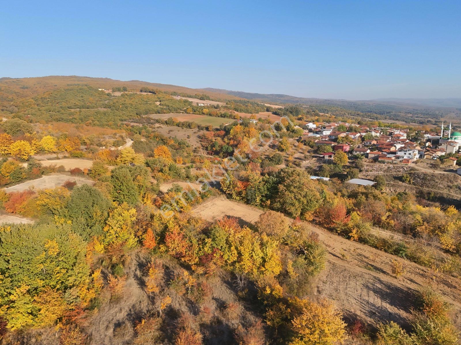 İnegöl Süpürtü Tek Tapu 330m² Satılık Arazi