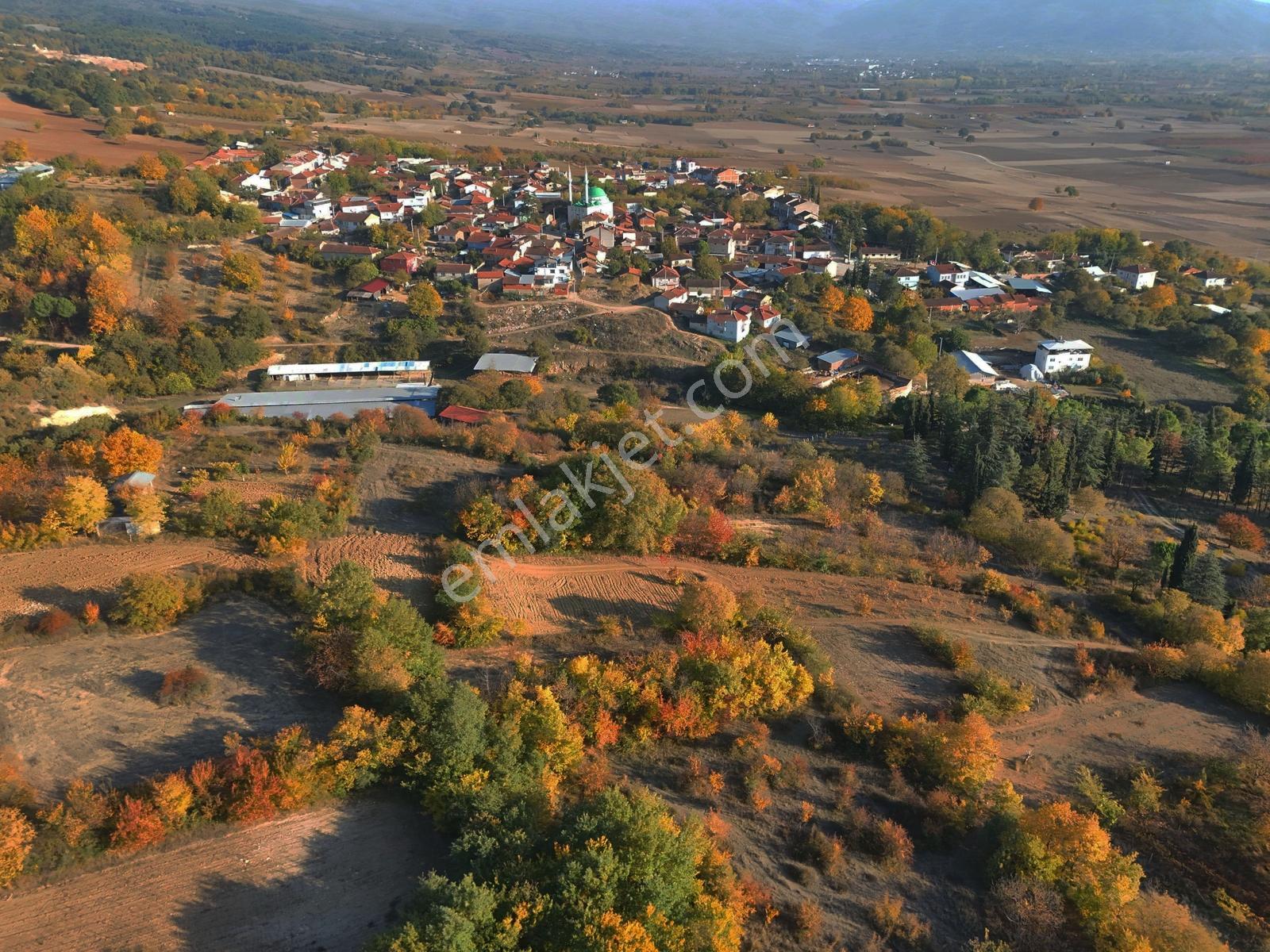 İnegöl Süpürtü Tek Tapu 330m² Satılık Arazi - Görsel 5