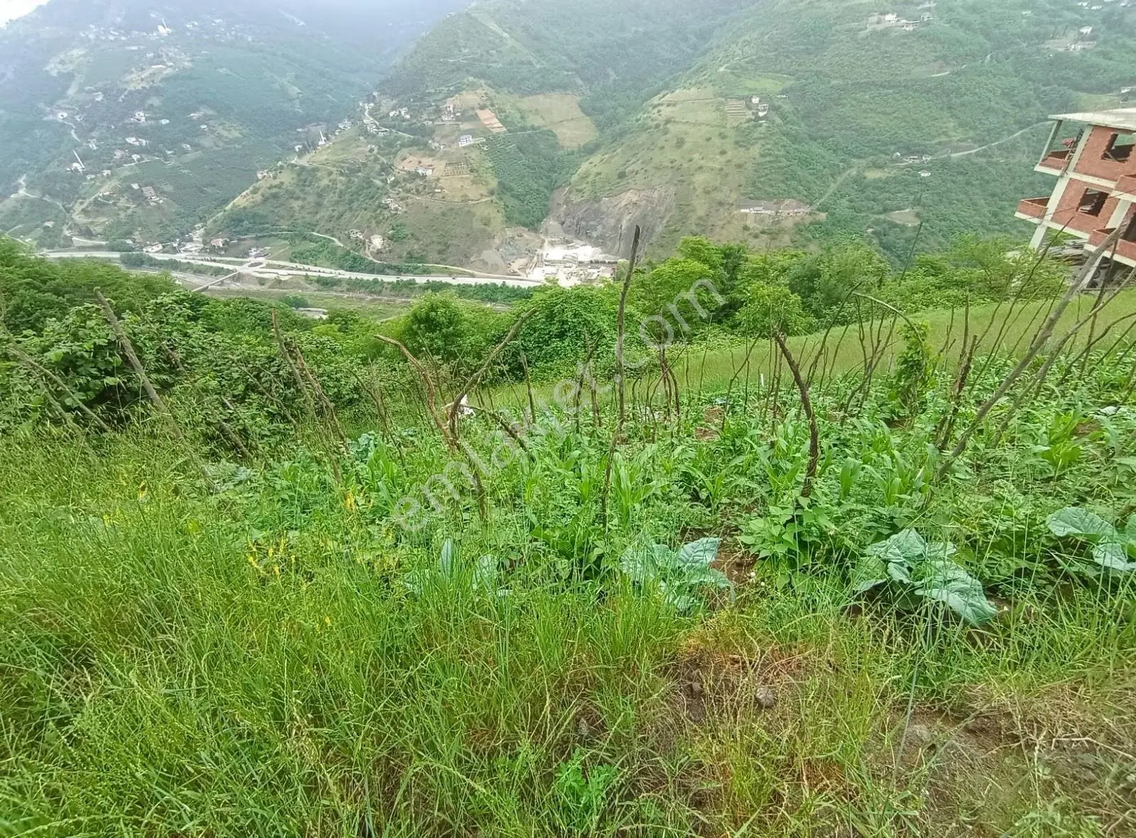 Akçaabat Tatlısu Köyünde Satilik 1600 M2 Arsa - Görsel 3