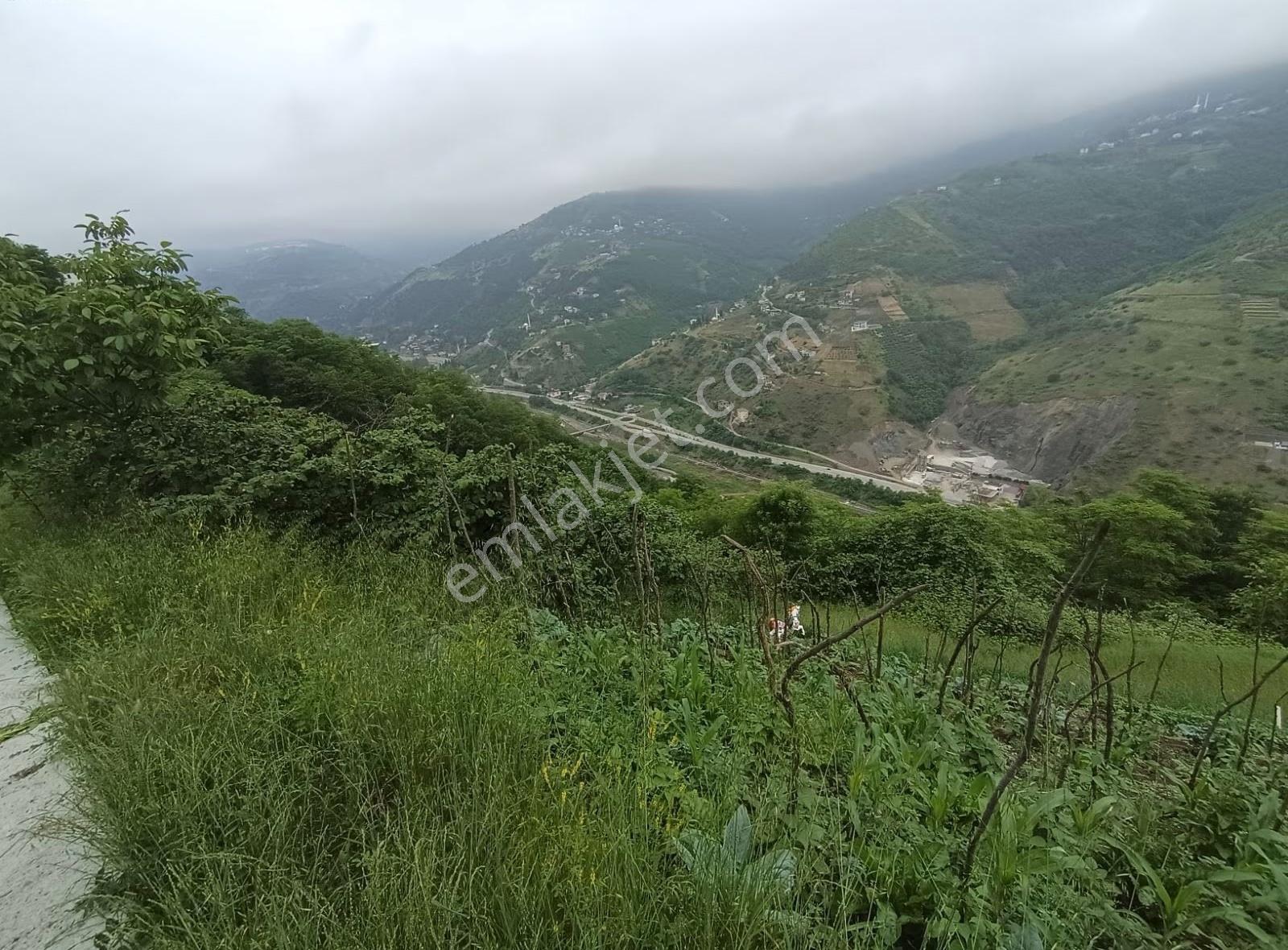 Akçaabat Tatlısu Köyünde Satilik 1600 M2 Arsa - Görsel 2