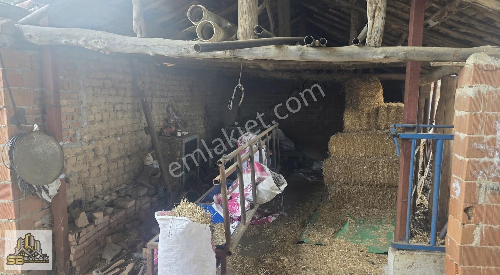 İzmir Tire Gökçen Mahallesi'nde Satılık Çiftlik Ve Yaşam Alanı - Görsel 6