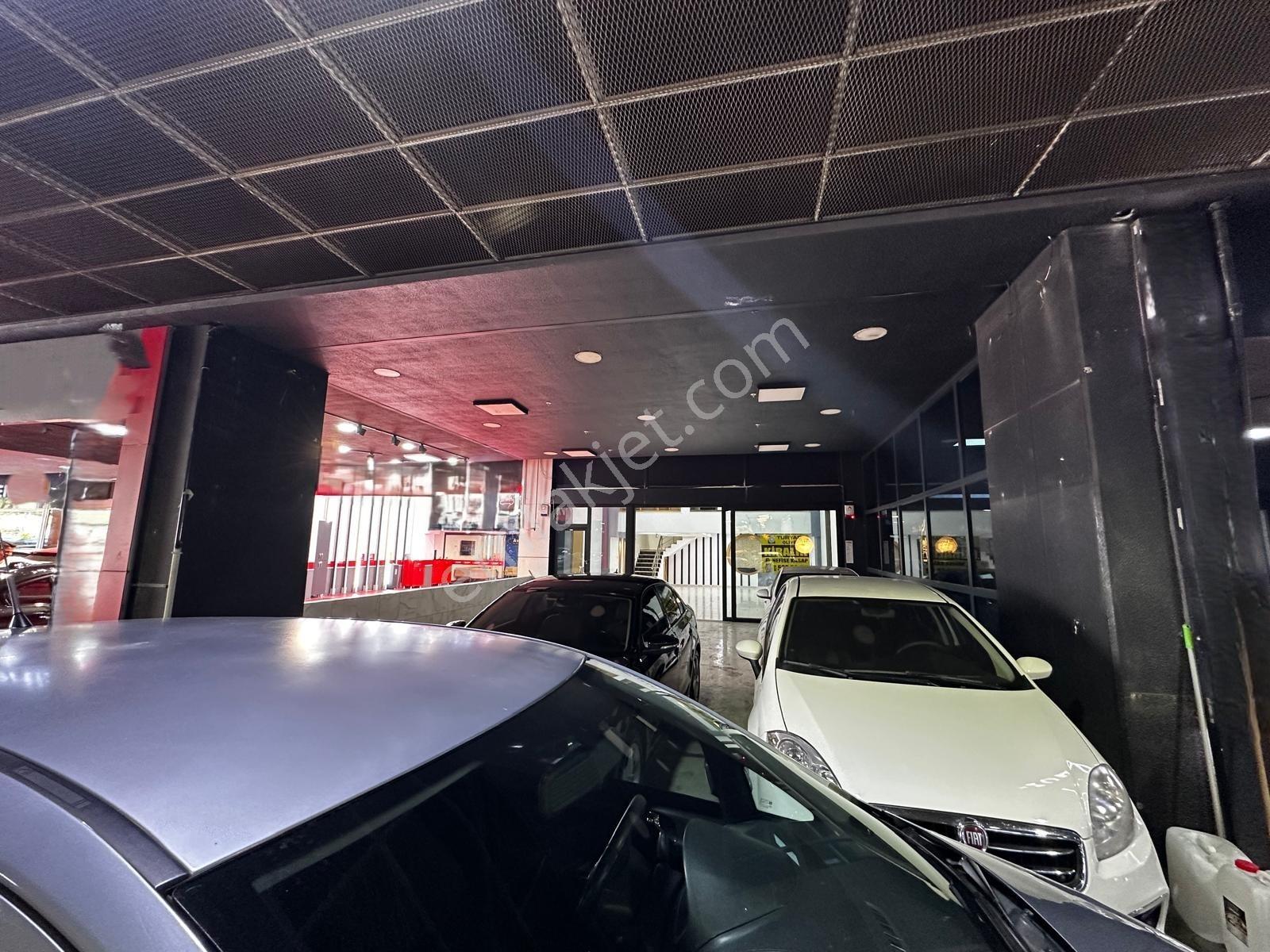 İstoç Oto Ticaret Merkez Kiralık Cadde Dükkan 240m2 Nefise Kasap