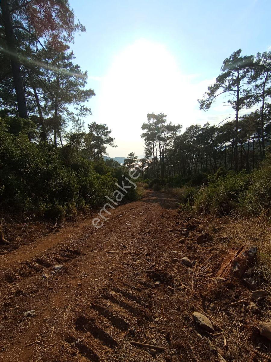 Marmaris Çetibelinde Denize Yakın Fırsat 3.174 M² Satılık Arazi - Görsel 3