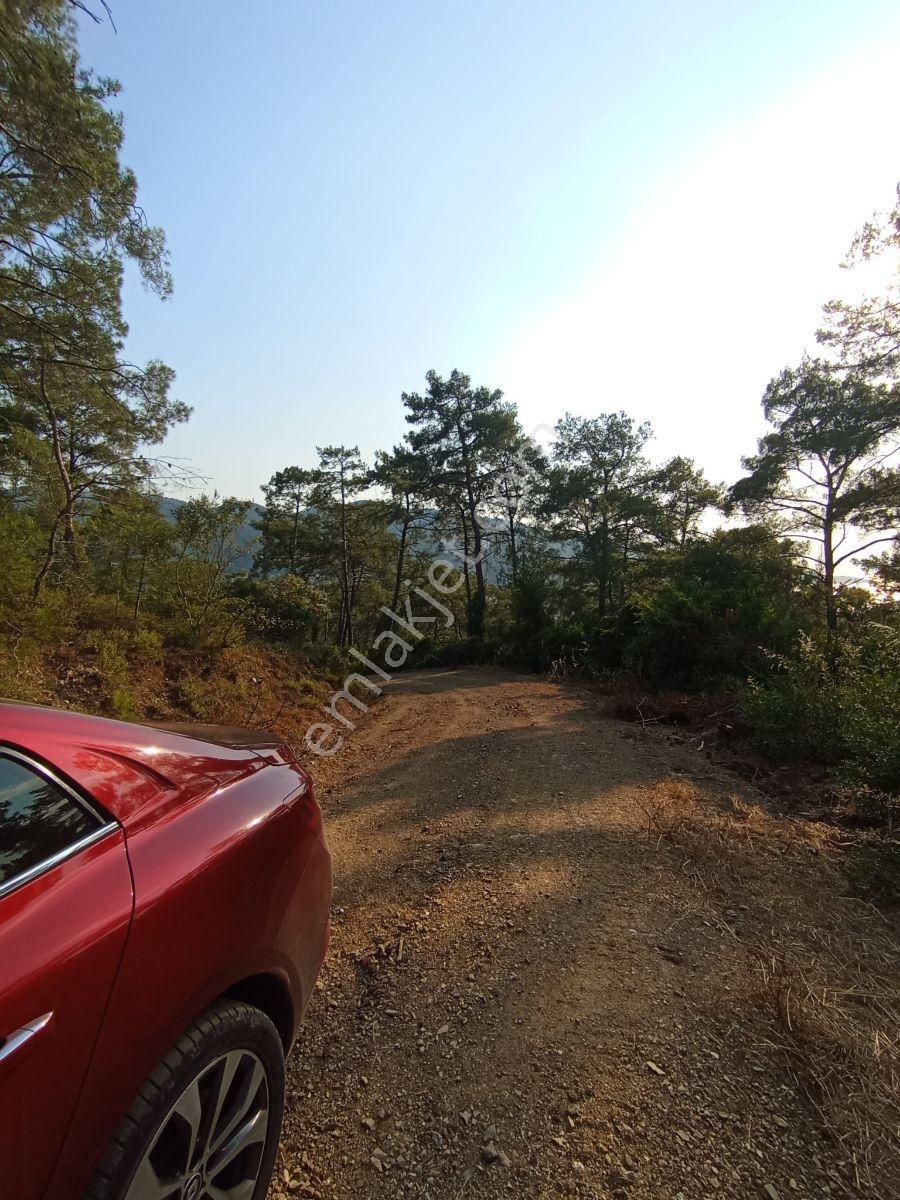 Marmaris Çetibelinde Denize Yakın Fırsat 3.174 M² Satılık Arazi - Görsel 5