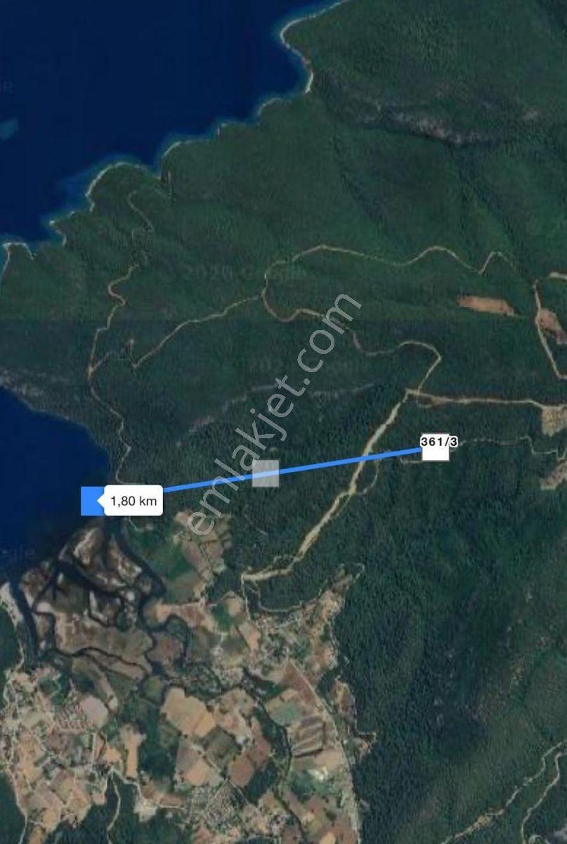 Marmaris Çetibelinde Denize Yakın Fırsat 3.174 M² Satılık Arazi - Görsel 7