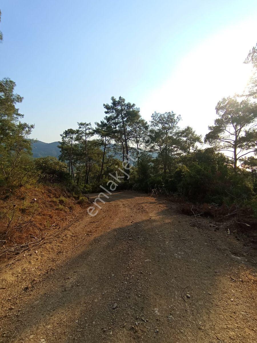 Marmaris Çetibelinde Denize Yakın Fırsat 3.174 M² Satılık Arazi - Görsel 4