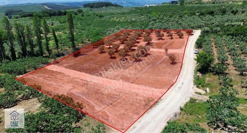 Fast Yatırım'dan Gündoğdu Köyünde Bursa Manzaralı Satılık Tarla - Görsel 12