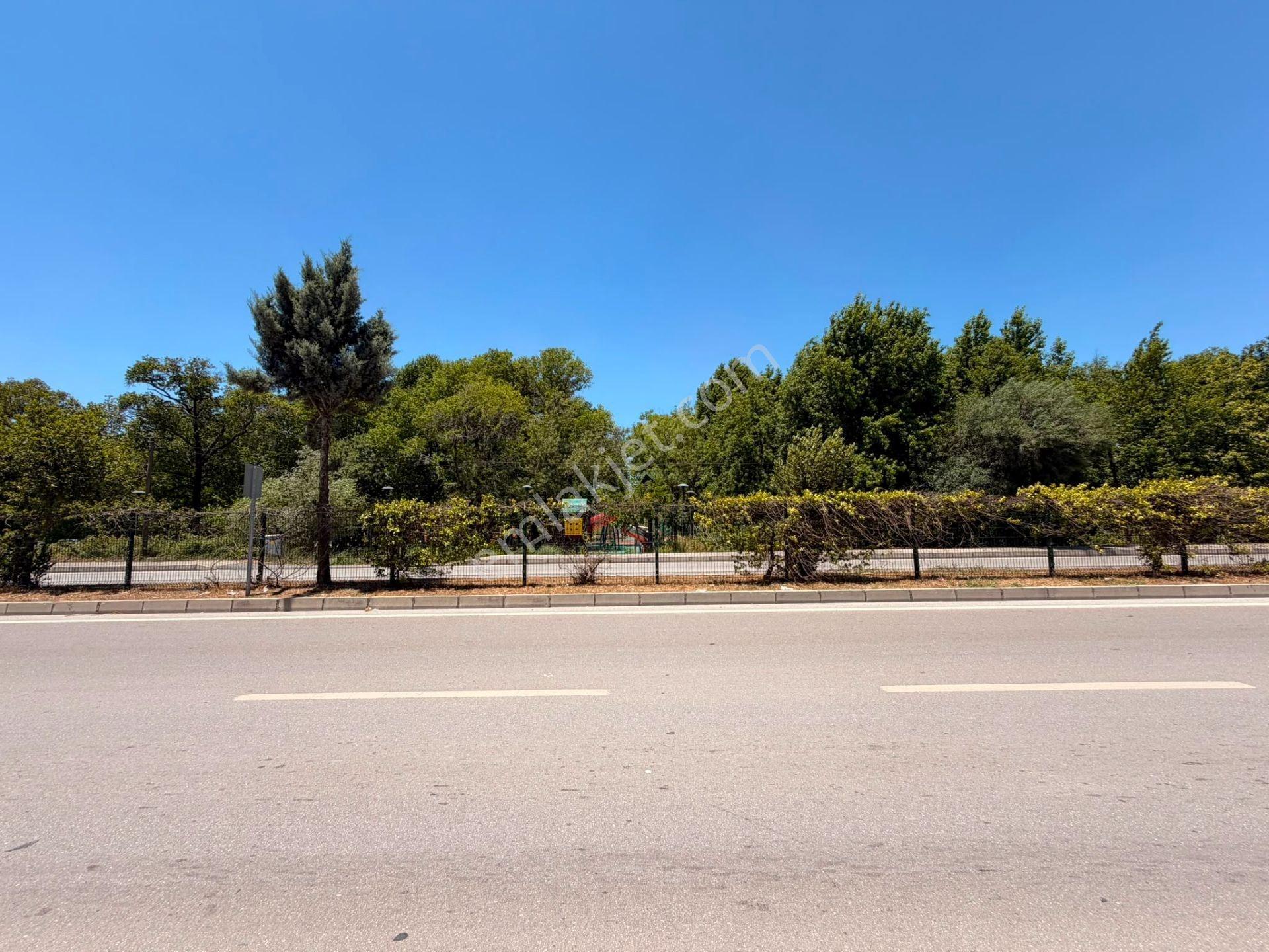 Yatırım Fırsatı! Ana Cadde Cepheli Satılık 50 M² Dükkan - Görsel 5