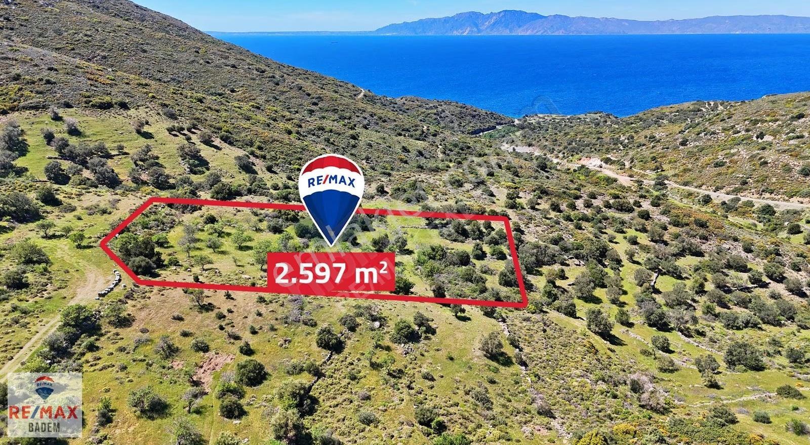 Datça Satılık Tarla Yazı'da - Tıny House'a Uygun Yolu Var - Görsel 3