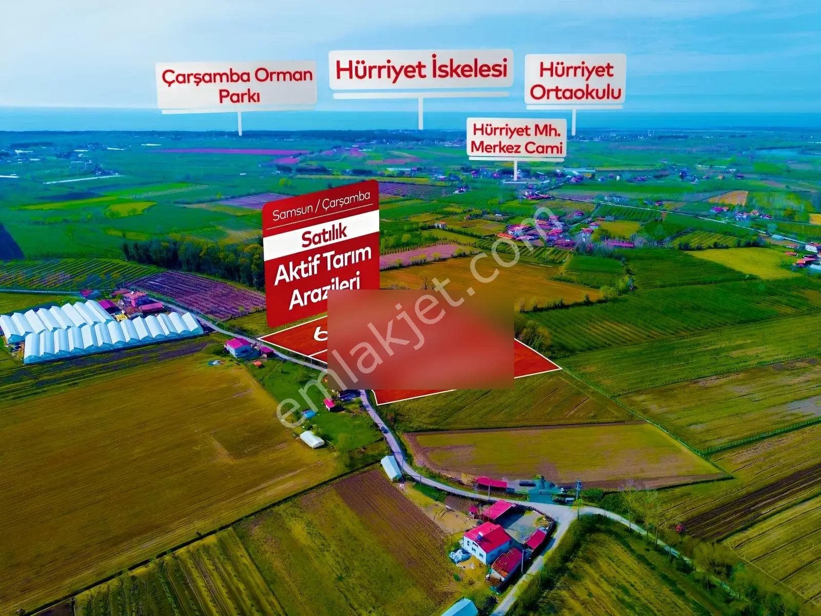 Deneyim'den Çarşamba Hürriyet'te Satılık 20.496 M² Tarım Arazisi