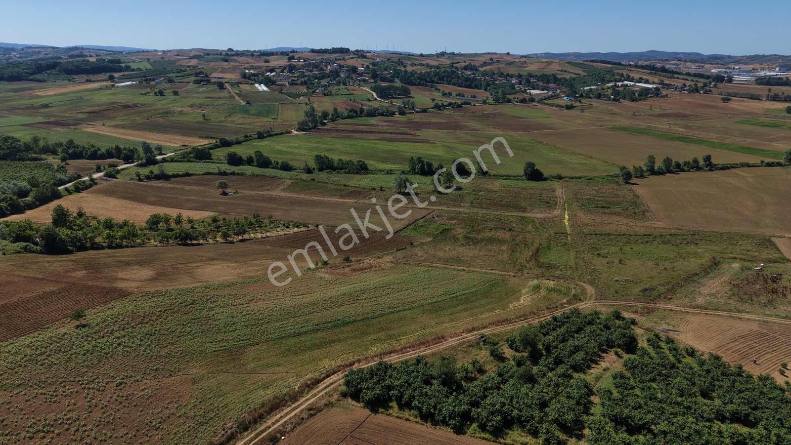 Kandıra Merkeze 4 Km Mesafede 740 M2 Resmi Yollu Arazi - Görsel 15