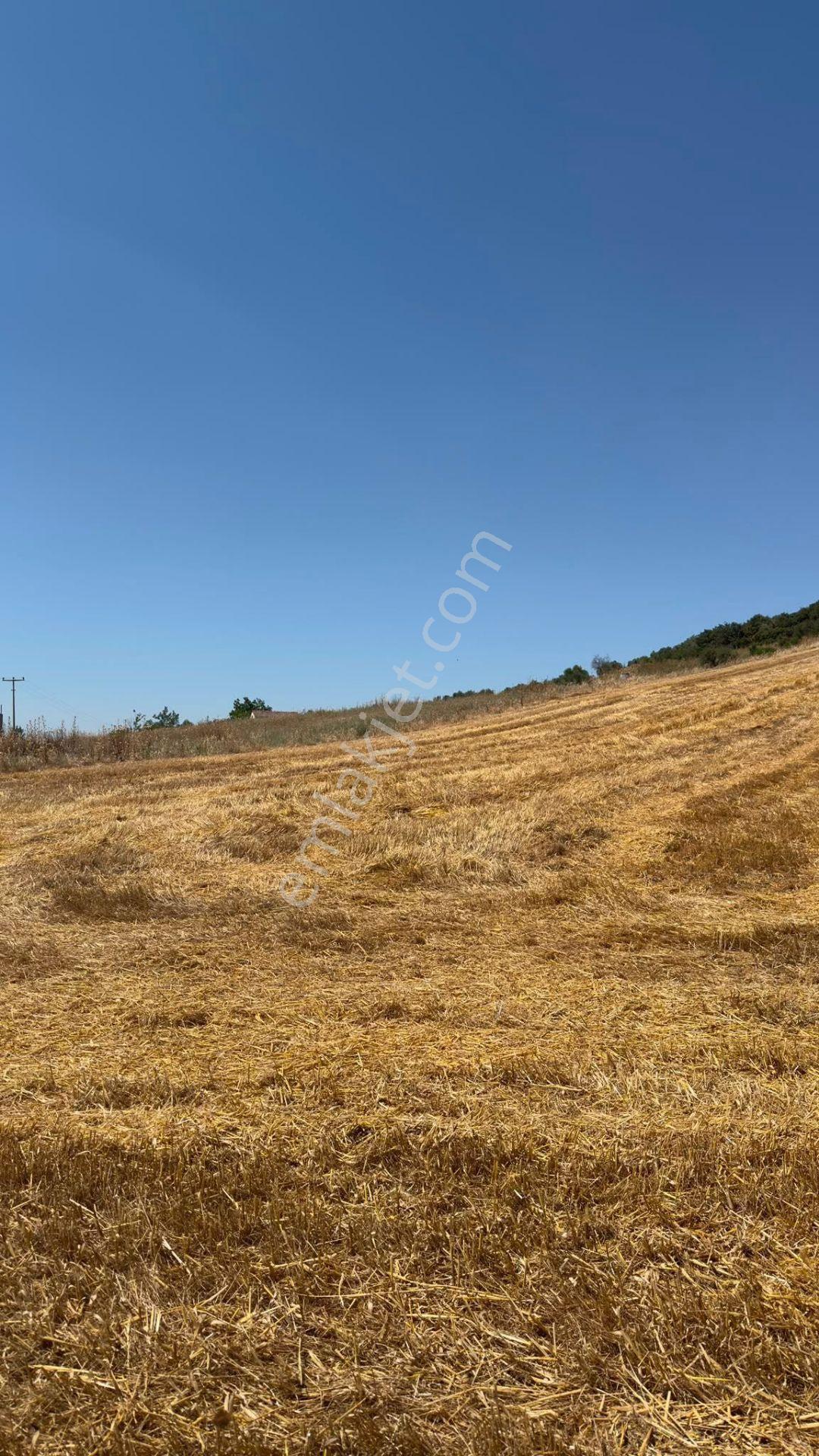 Turgutlu Satılık Irlamaz Mah 240m2 İmarlı Arsa - Görsel 3