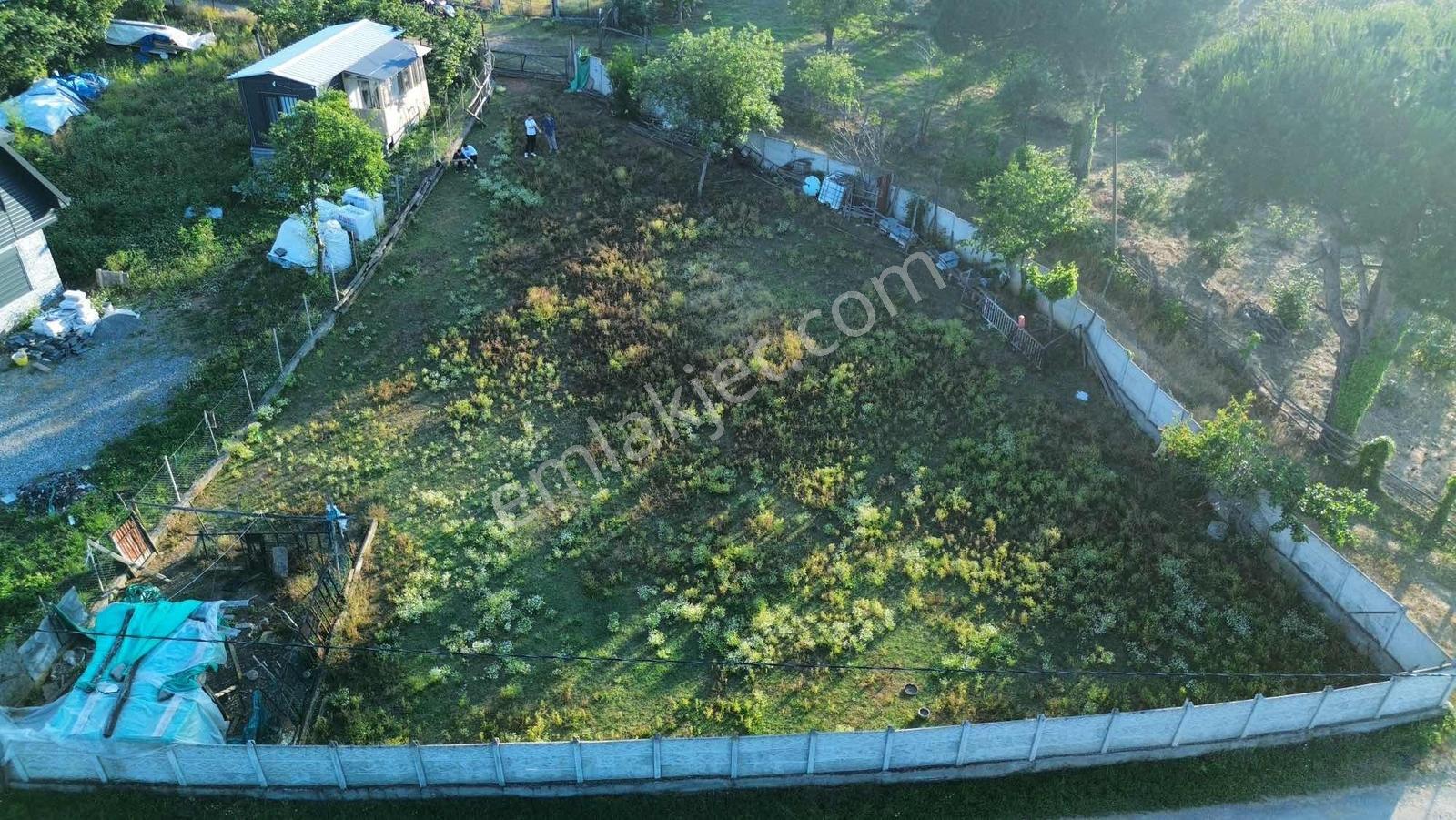 Enya'dan Akçakoca Beyhanlıda Satılık Villalık Arsa