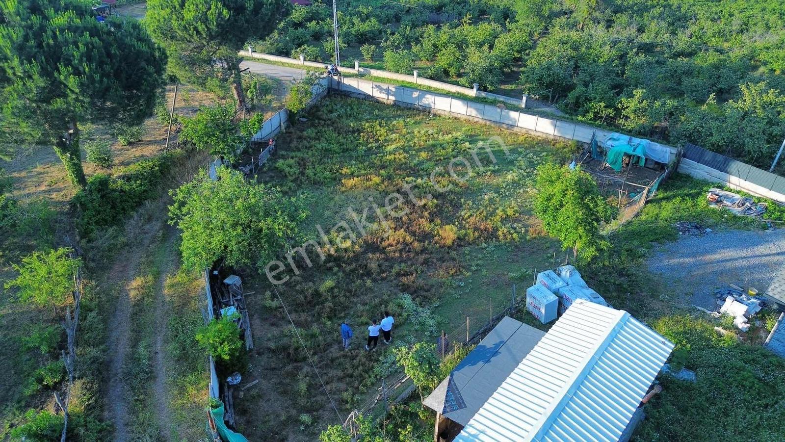 Enya'dan Akçakoca Beyhanlıda Satılık Villalık Arsa - Görsel 14